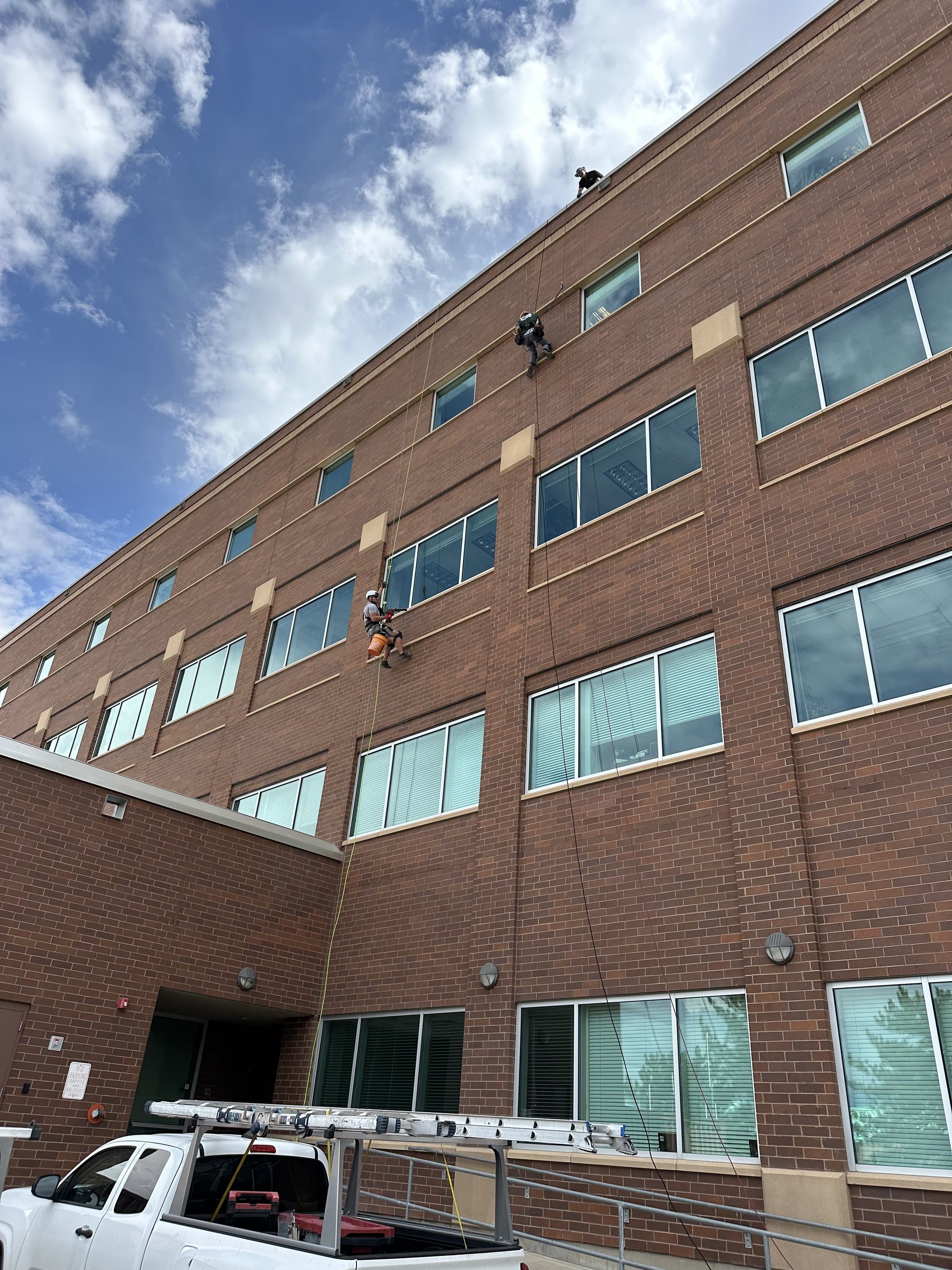 Washington Wildlife Specialists team ready for eastern Washington bat work