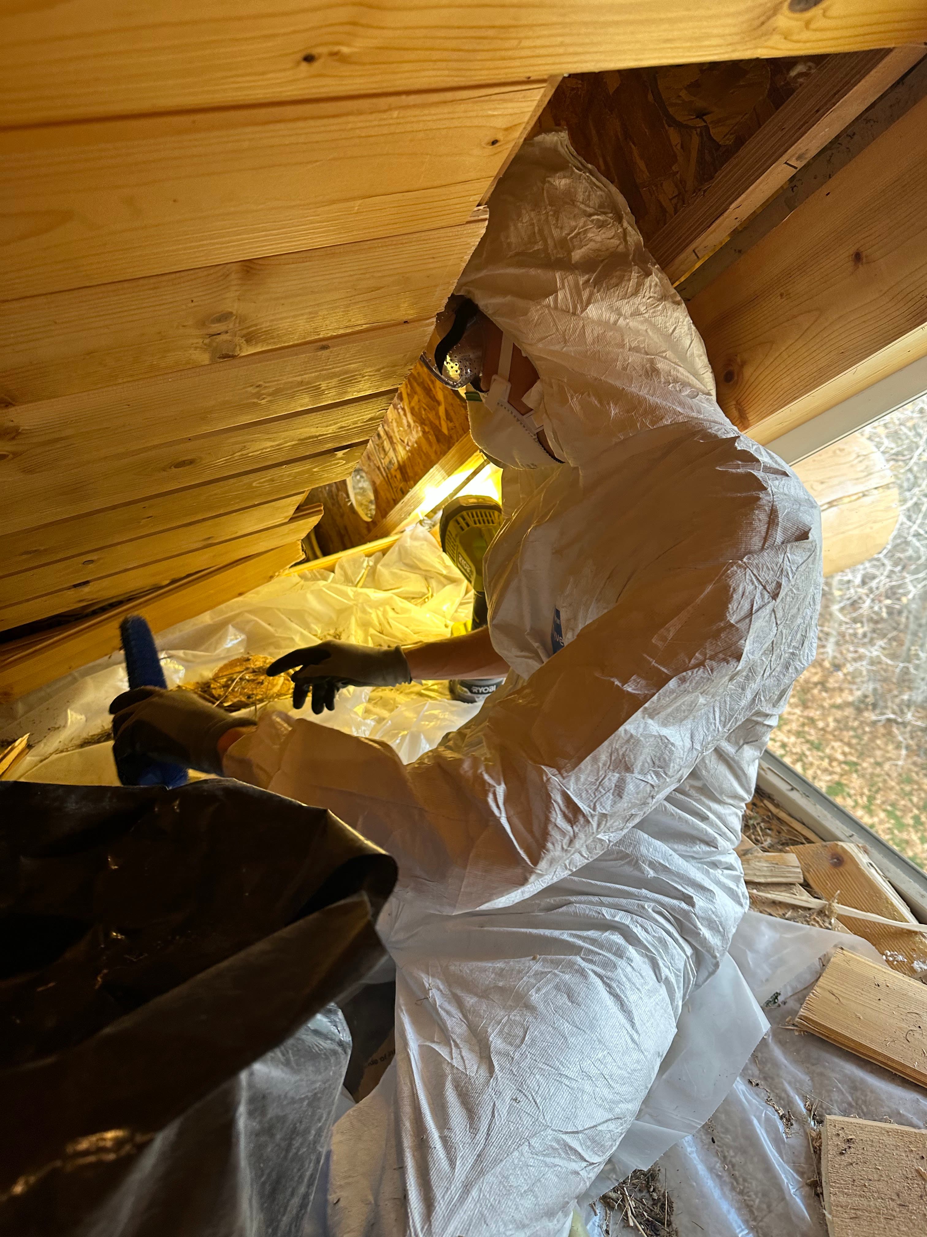 Technician in protective equipment conducting an attic inspection