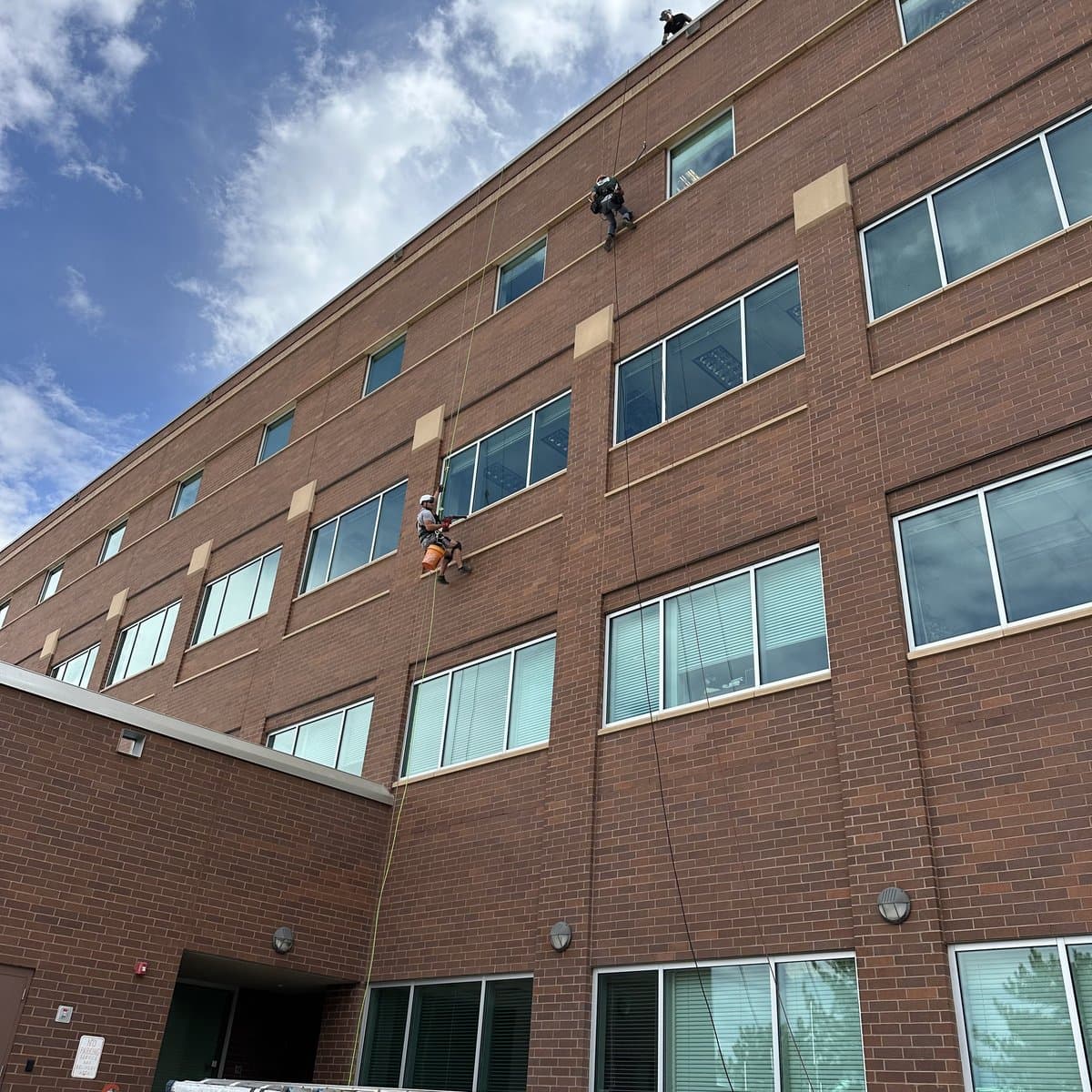 Commercial high-rise building exterior relevant to bat exclusion work