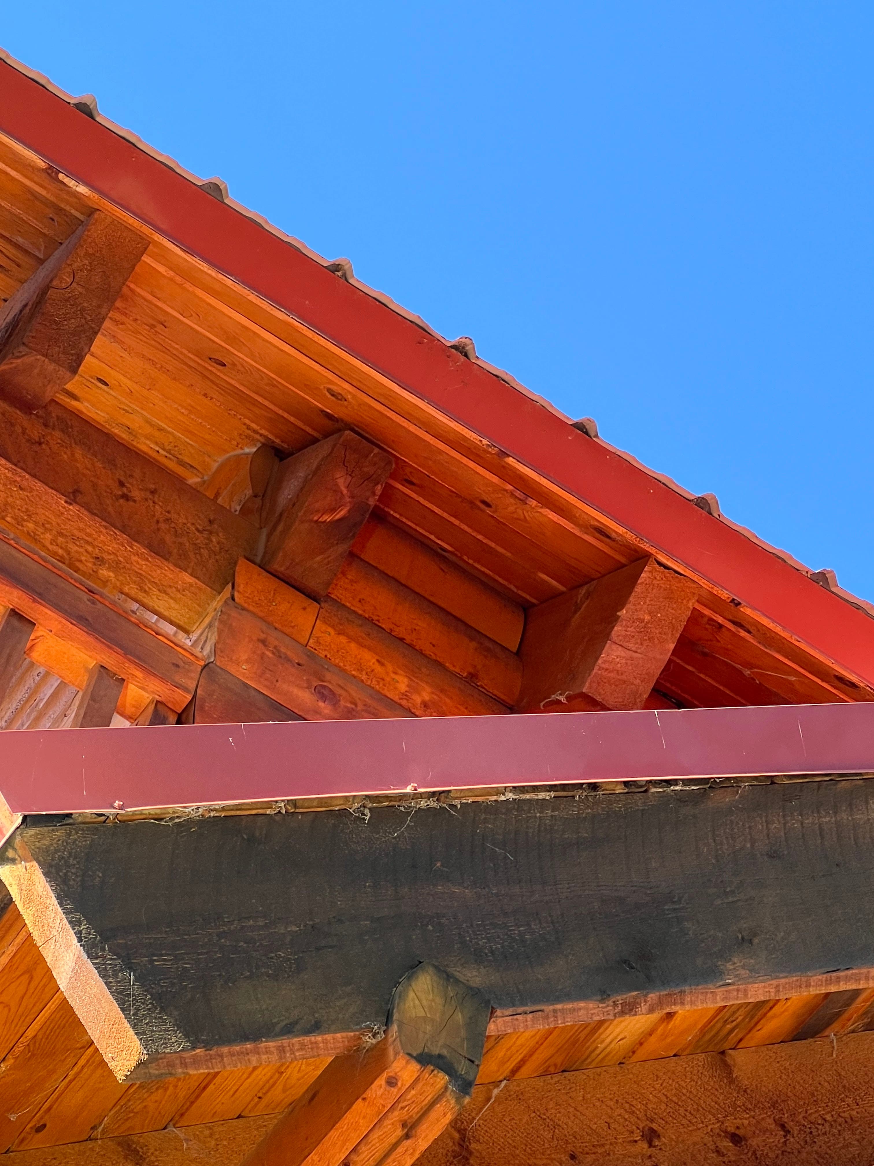 Home eaves and soffit inspected for bat entry points