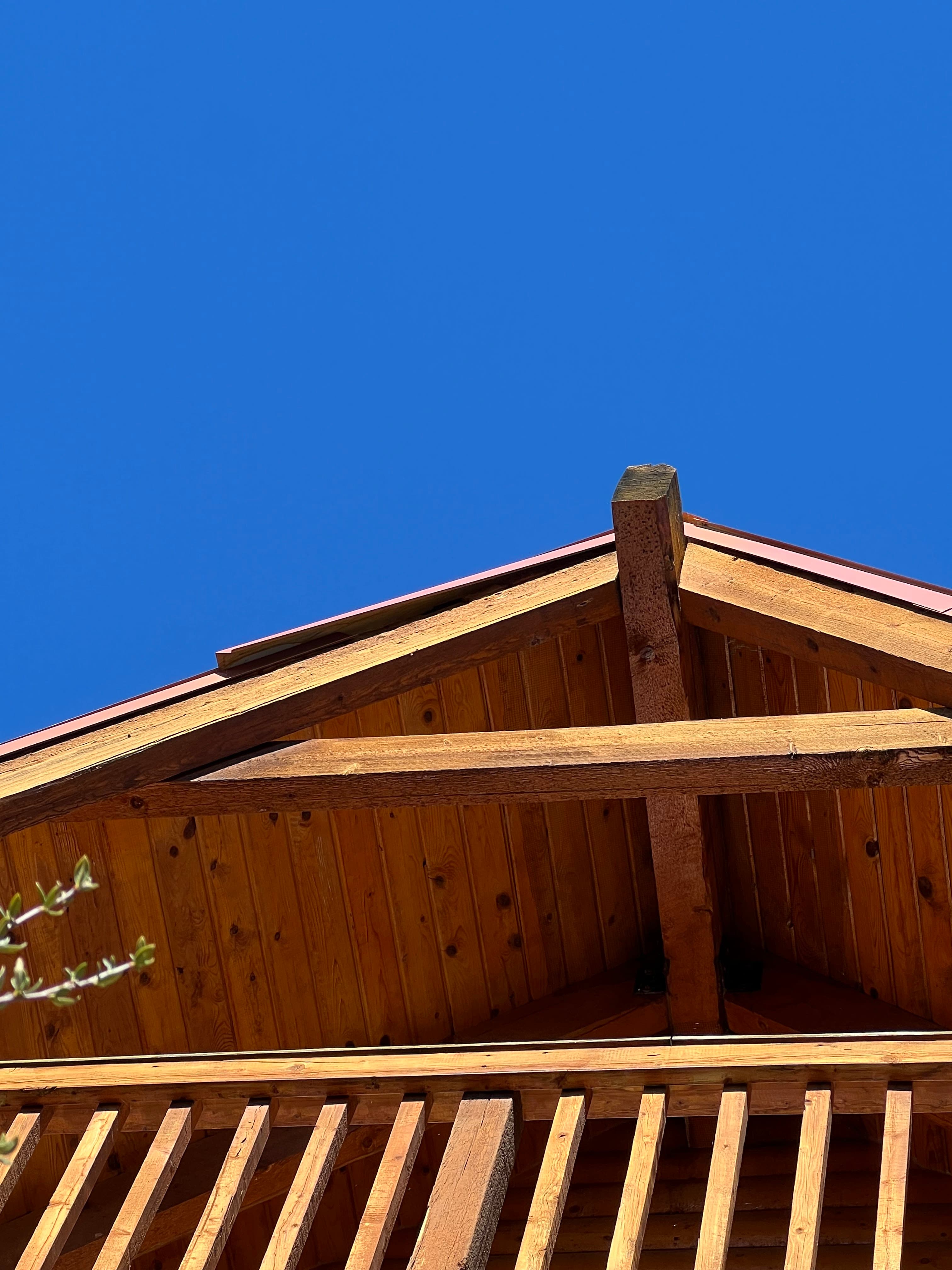Residential roofline and gable inspected for bat entry points